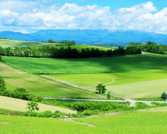 北海道